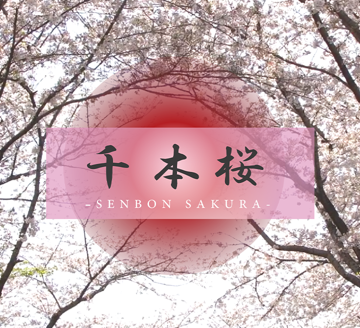 操逼免费动态视频-高清免费HD高清完整电影